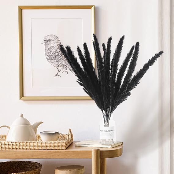 Black Pampas Grass