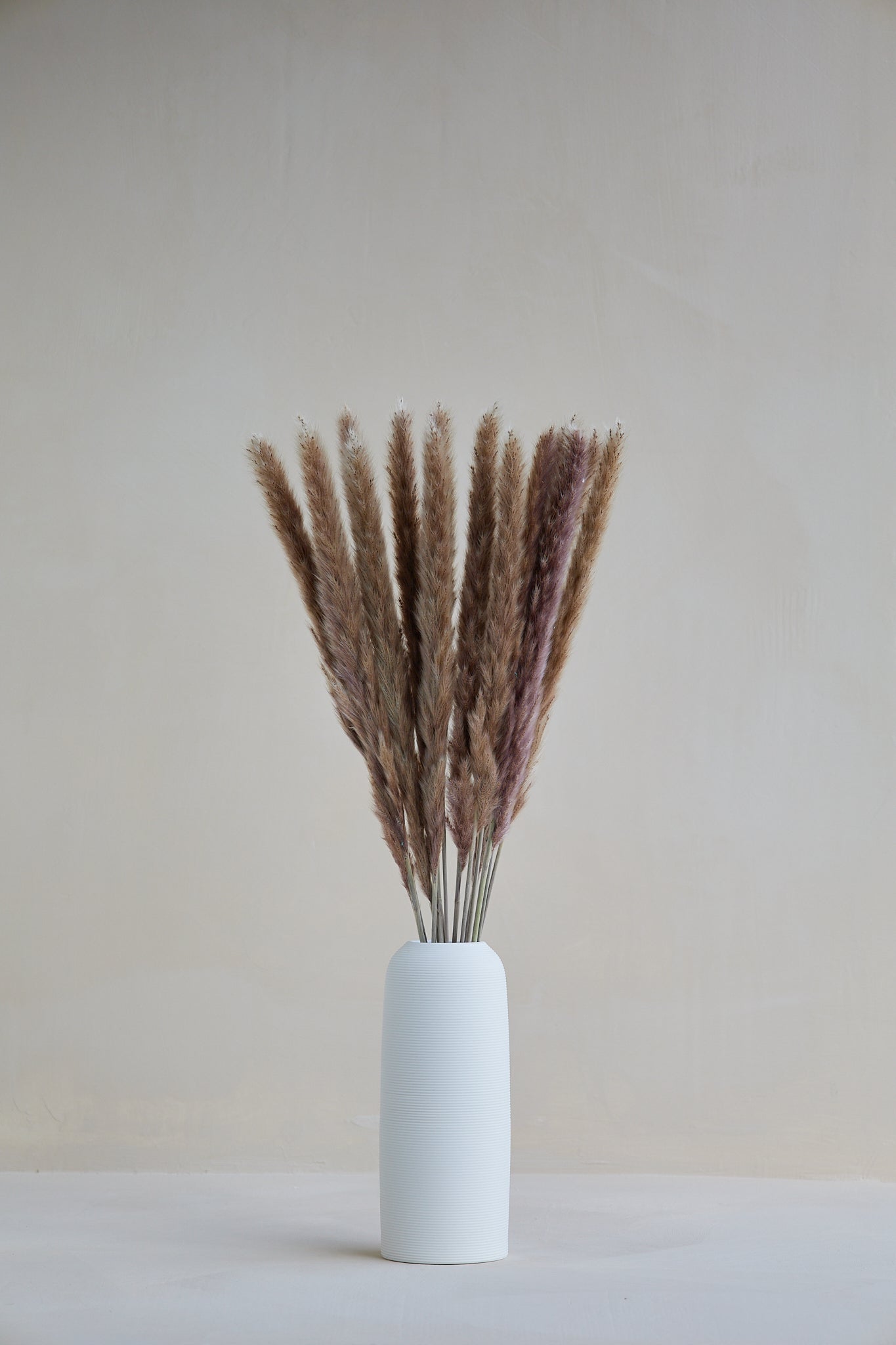 Brown Pampas Grass