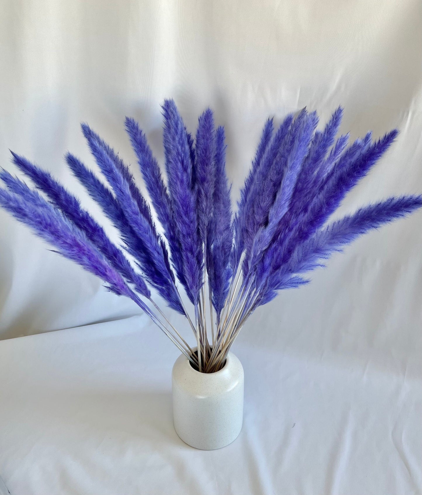 Purple Pampas Grass