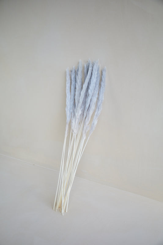 Grey Pampas Grass